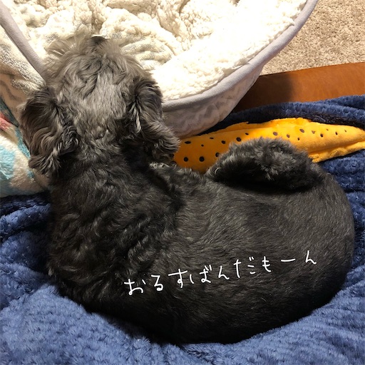 f:id:hitohito1223:20210209204143j:plain