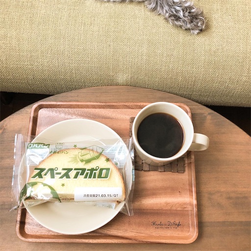 f:id:hitohito1223:20210313223351j:plain