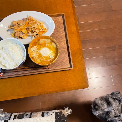 f:id:hitohito1223:20210509204403j:plain