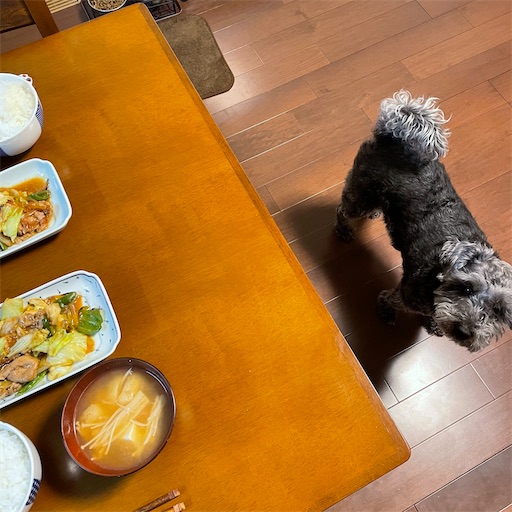f:id:hitohito1223:20210524222920j:plain