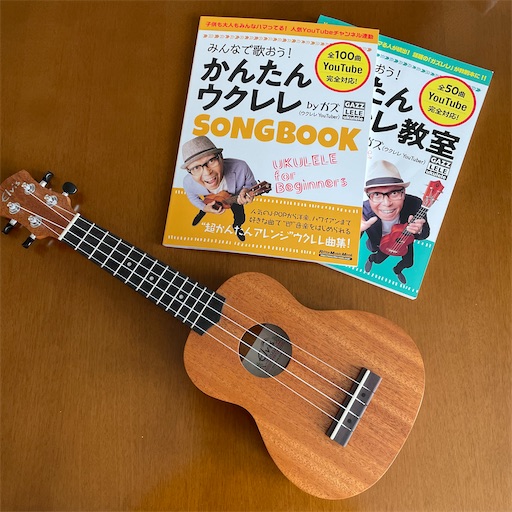 f:id:hitohito1223:20210613204523j:plain