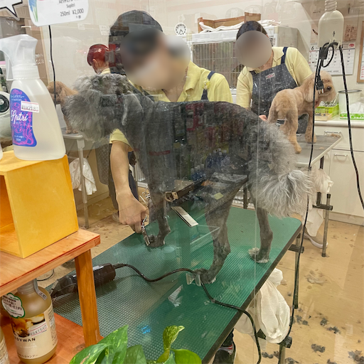 f:id:hitohito1223:20210619195037p:plain