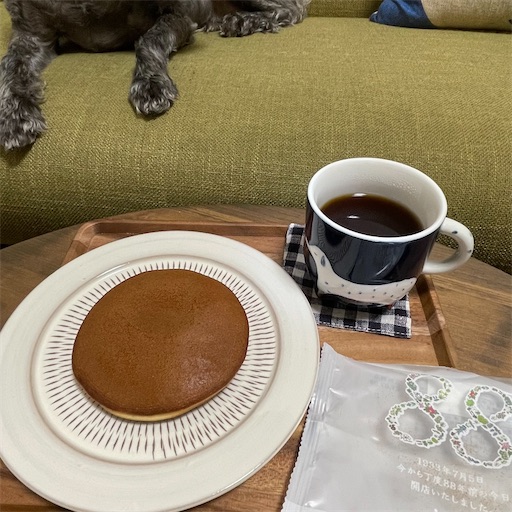 f:id:hitohito1223:20210705193648j:plain