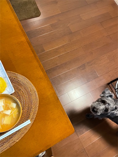 f:id:hitohito1223:20210708140328j:plain