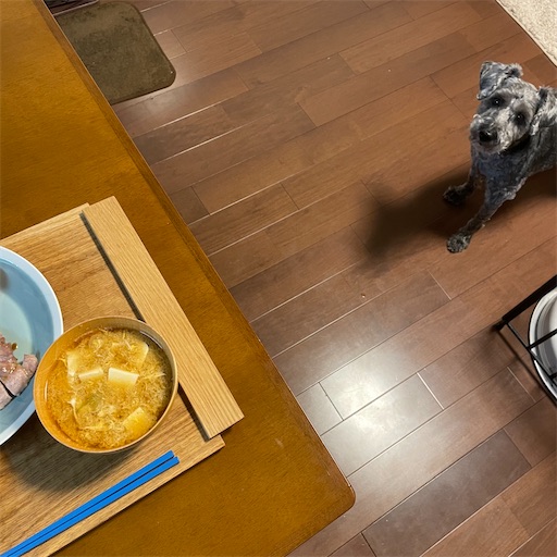 f:id:hitohito1223:20210714144407j:plain