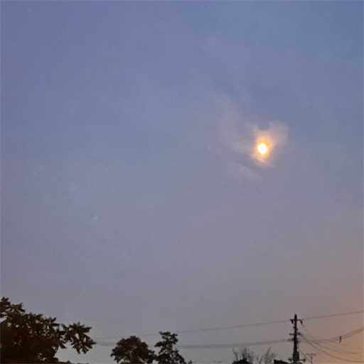 f:id:hitohito1223:20210721233721j:plain