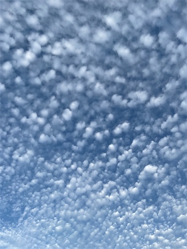 f:id:hitohito1223:20210826204517j:plain
