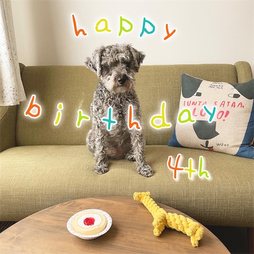 f:id:hitohito1223:20210905201625j:plain