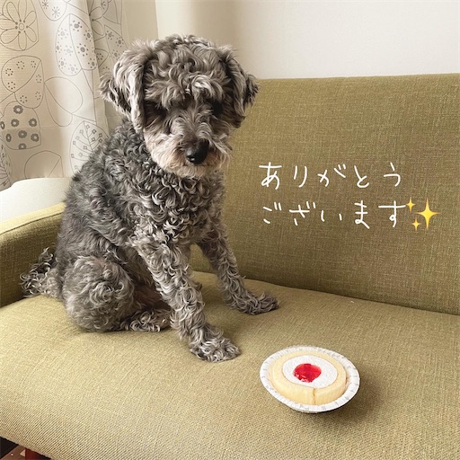 f:id:hitohito1223:20210905201631j:plain
