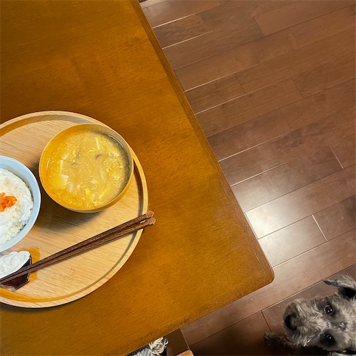 f:id:hitohito1223:20210927215231j:plain