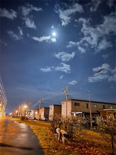 f:id:hitohito1223:20211119215030j:plain