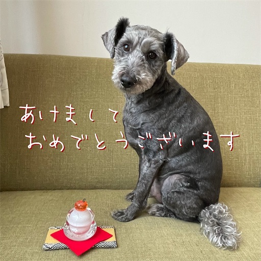 f:id:hitohito1223:20211230185338j:plain