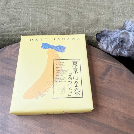 f:id:hitohito1223:20220105150745j:plain