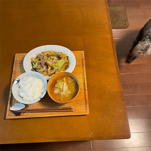 f:id:hitohito1223:20220117151326j:plain