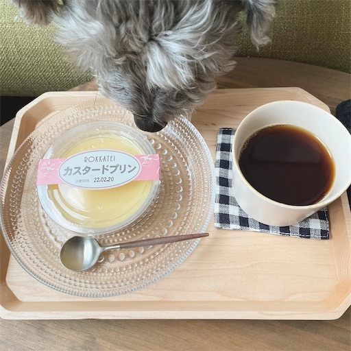 f:id:hitohito1223:20220220193136j:plain