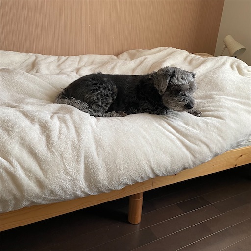 f:id:hitohito1223:20220302142146j:plain