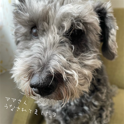 f:id:hitohito1223:20220304120330j:plain