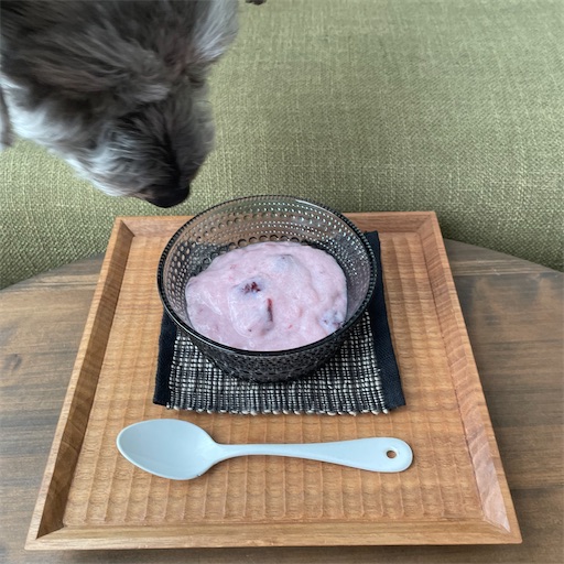 f:id:hitohito1223:20220404200254j:plain