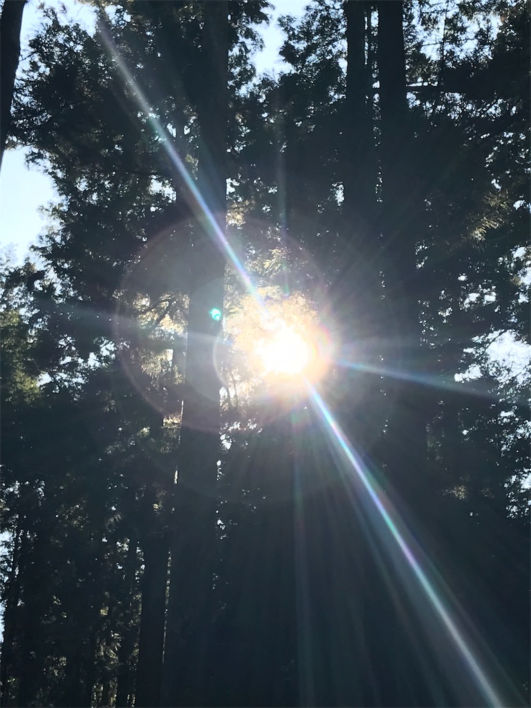 f:id:hitokadoh:20180106151230j:image