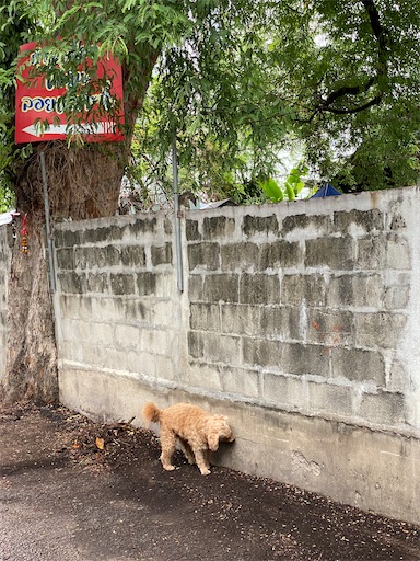f:id:hitolitabi:20230812213601j:image