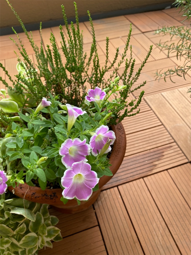 f:id:hitolitabi:20240623161801j:image
