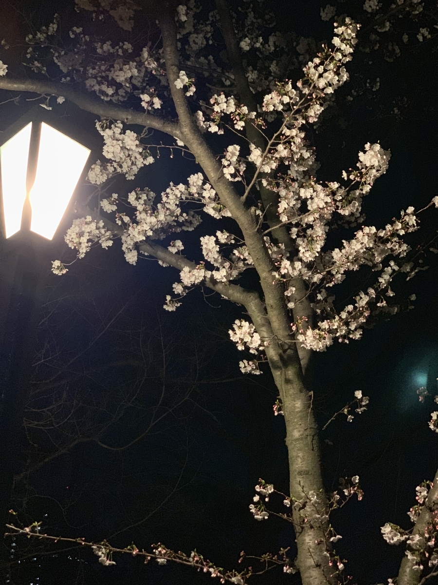 f:id:hitomaru01:20190412104719j:plain