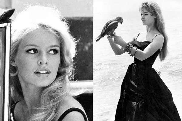 128ﾌﾞﾘｼﾞｯﾄ･ﾊﾞﾙﾄﾞｰBrigitte Bardot:plain