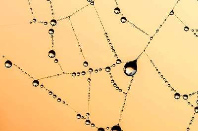 f:id:hitomi-shock:20170127224159j:plain