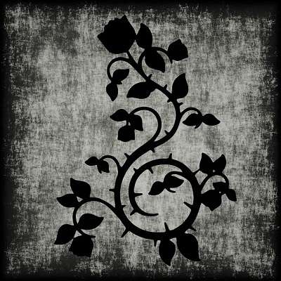 f:id:hitomi-shock:20170127231812j:plain