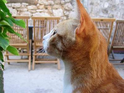 f:id:hitomi-shock:20170509001543j:plain