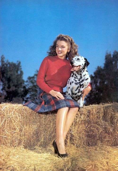 Marilyn Monroe7:plain