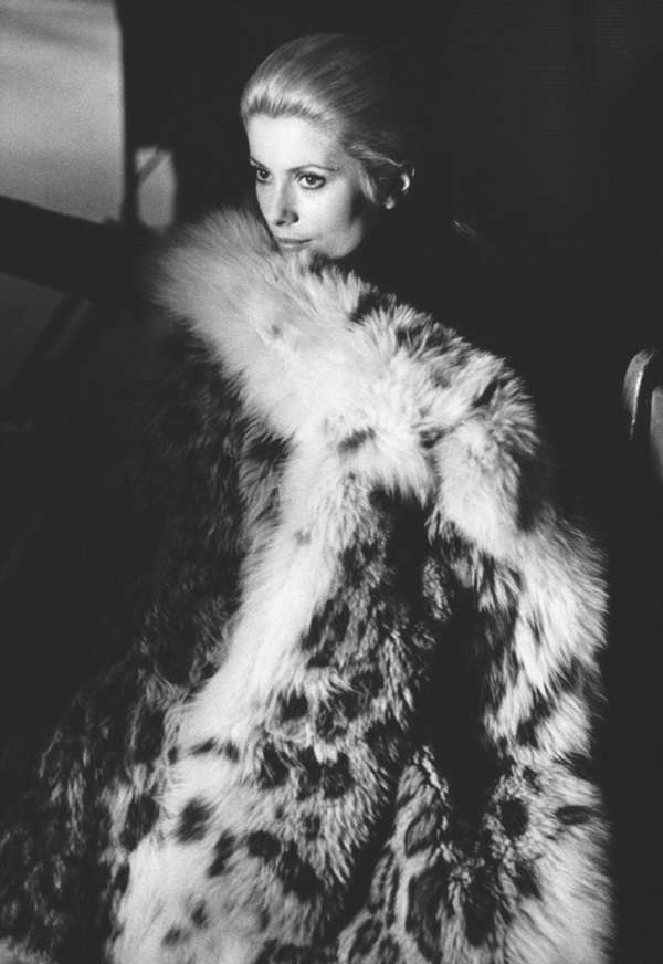 Catherine Deneuve93 Catherine Deneuve