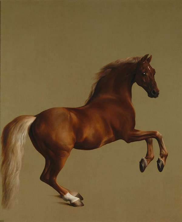 The National Gallery Whistlejacket 　George Stubbs