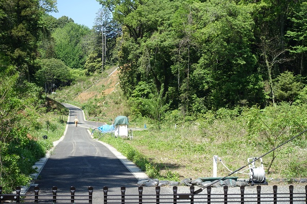 武蔵陵墓地（多摩御陵）