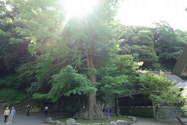 安房神社