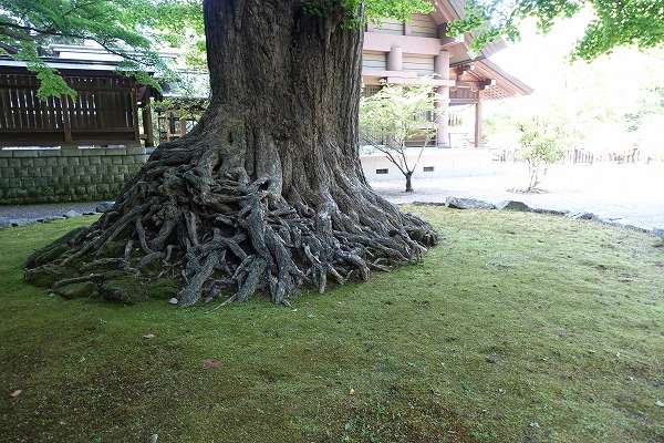 安房神社