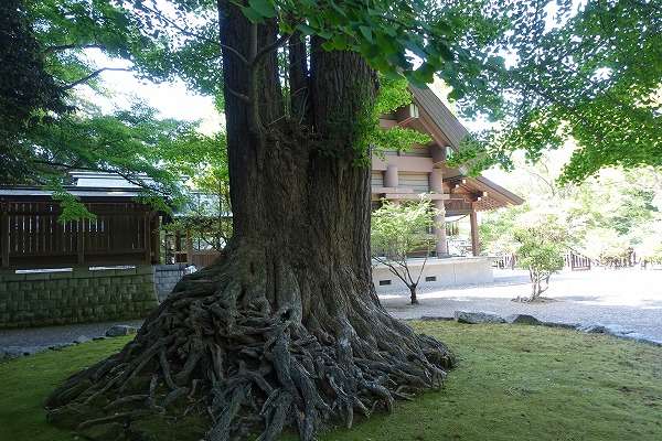 安房神社