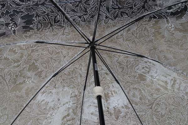 fulton-umbrella-birdcage 