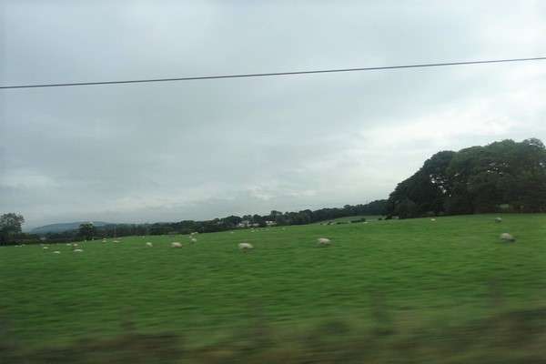 ヴァージン・トレインズ8