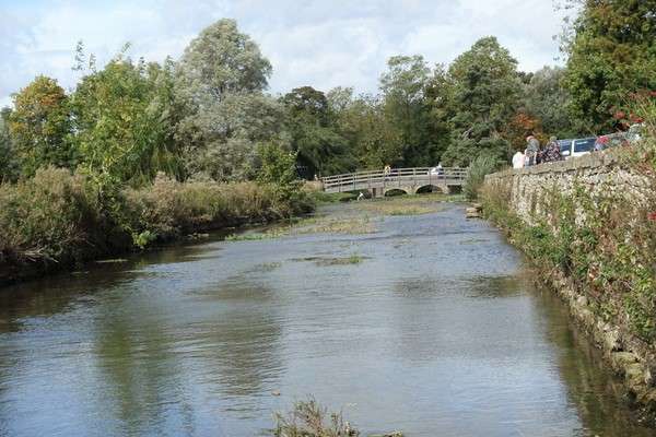 43ｲｷﾞﾘｽ・ｺｯﾂｳｫﾙｽ