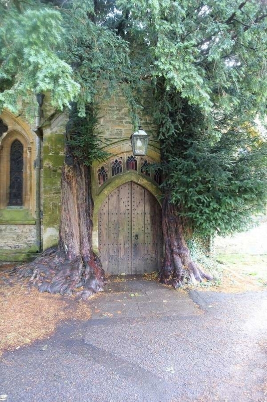 74ｲｷﾞﾘｽ・ｺｯﾂｳｫﾙｽ