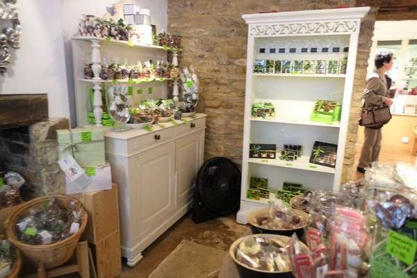 90ｲｷﾞﾘｽ・ｺｯﾂｳｫﾙｽ