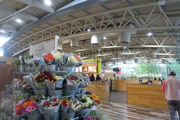 108ｲｷﾞﾘｽ・ｺｯﾂｳｫﾙｽ