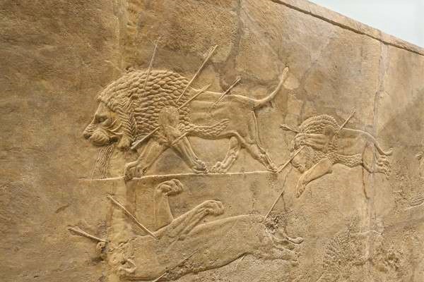 British Museum アッリシアのライオンのレリーフ　The Royal lion hunt reliefs3