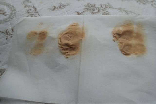 shiseido-synchroskin14