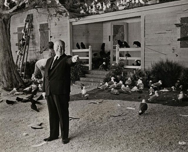 Alfred Hitchcock-The Birds（1963）