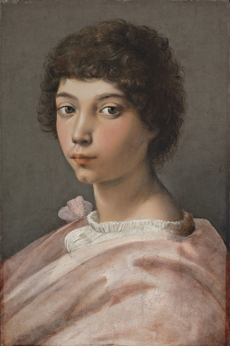 Museo de Arte Thyssen-Bornemisza　Portrait of a Young Man　　circa 1518-1519