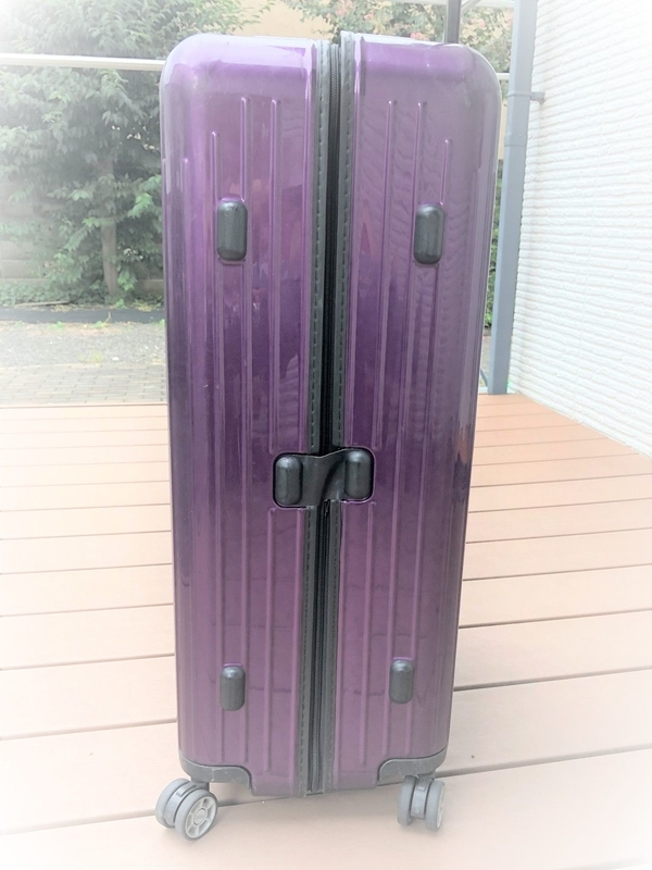 rimowa-suitcase-salsa