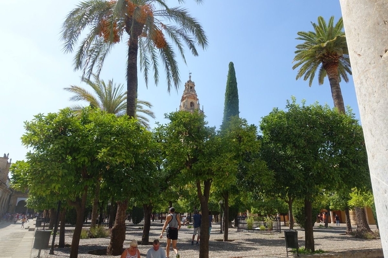 Mezquita-Cordova