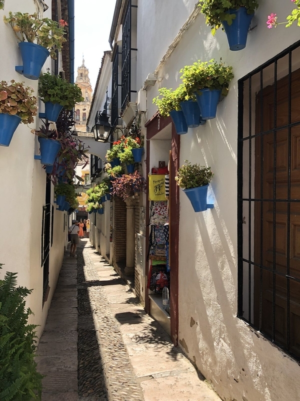 Mezquita-Cordova